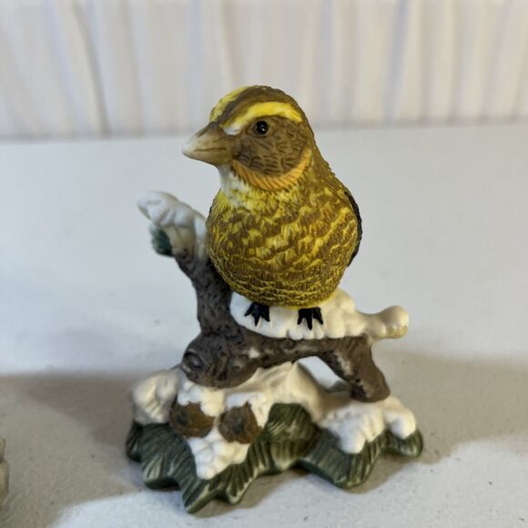 Tanager Titmouse And Grosbeak  Porcelain Songbirds Figurines - Picture 4 of 7